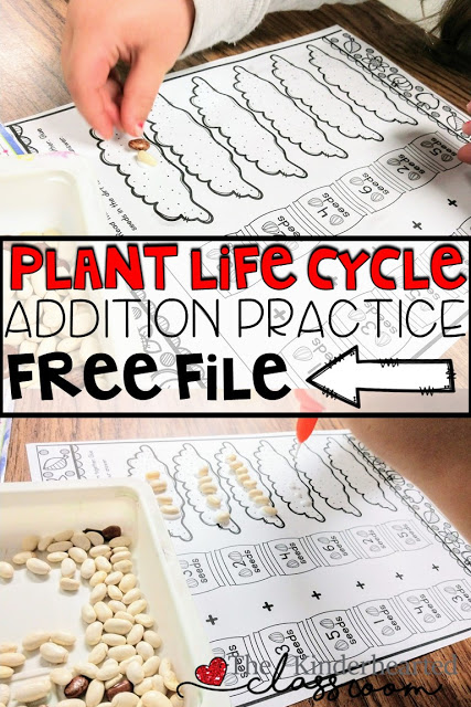 Plant Life Cycle Addition Practice - FREE download