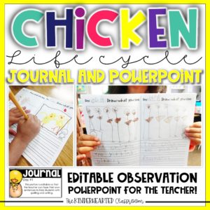 Interactive Science Journal Chicken Life cycle