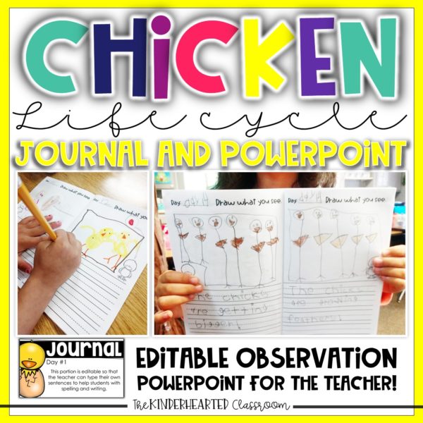 Interactive Science Journal Chicken Life cycle