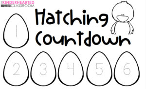 Egg Hatching Countdown Chicken Lifecycle Interactive Science Journal The Kinderhearted Classroom