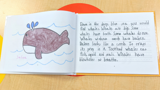 publishing a class book with student writing